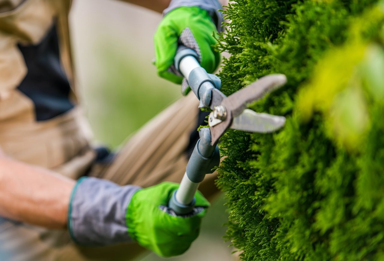 landscaping-and-gardening-worker-with-scissors-in-his-hands.jpg
