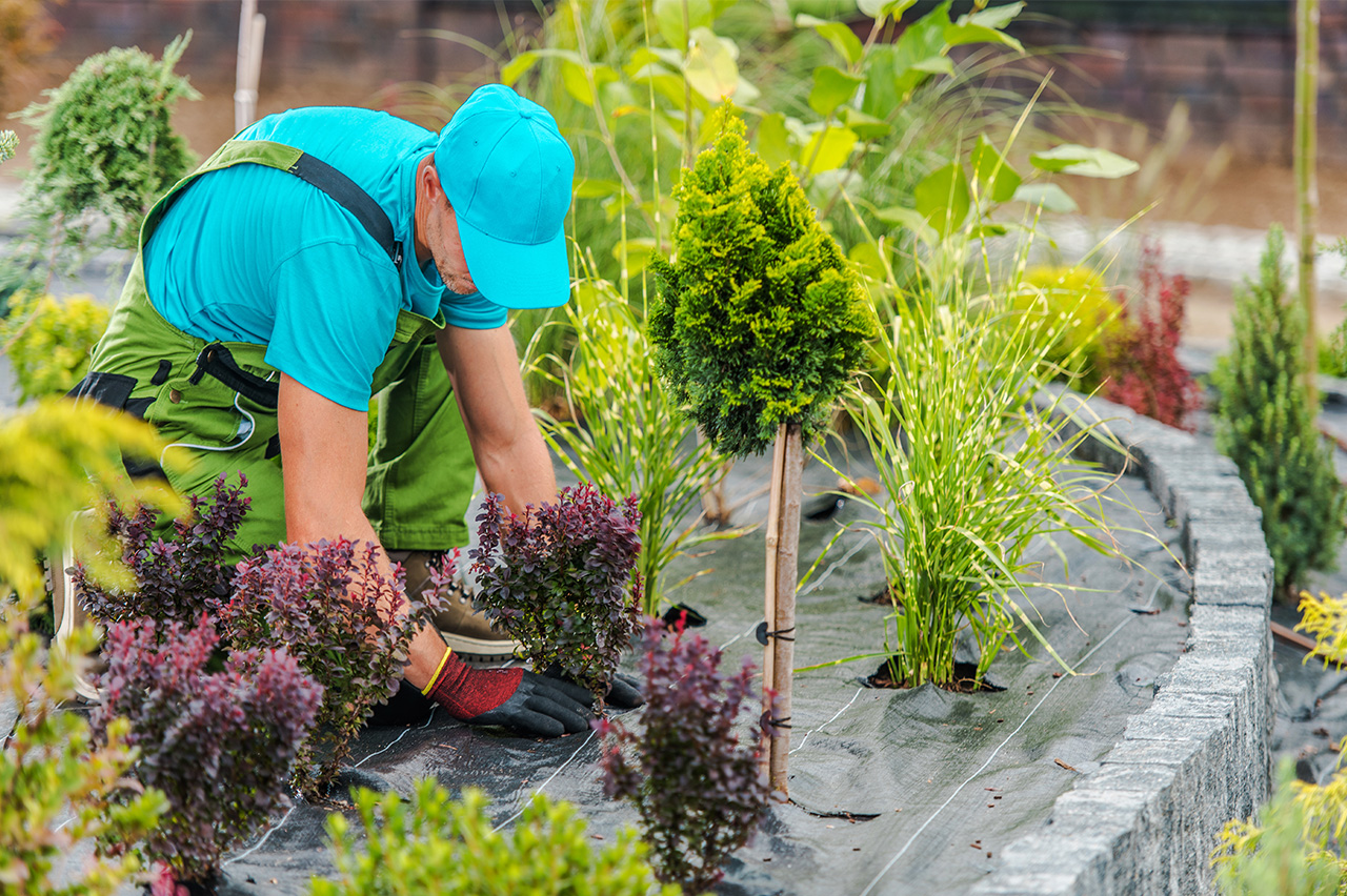 Garten und Landschaftsbau Service 1